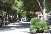 Camping La Pineta a San Vito Lo Capo (TP) Rinnova la Convenzione