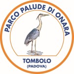 logo palude