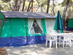 aurelia-club