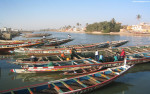 senegal3